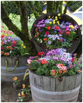 Illustration for article titled 20 Inspiring Flower Planters That Will Bring The Magic Into Your Garden